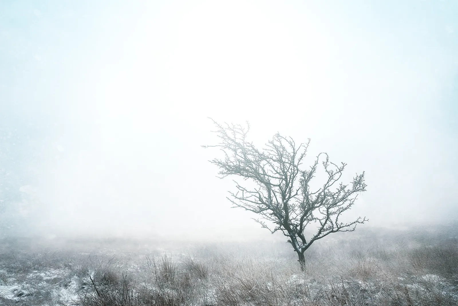 Sentinel I: Wind's Memory